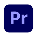 Thumbnail for version as of 23:13, 25 January 2025